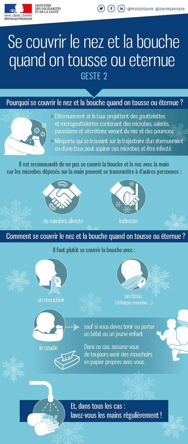 InfogGeste2.jpg